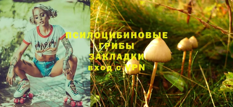 Псилоцибиновые грибы MAGIC MUSHROOMS  Сатка 